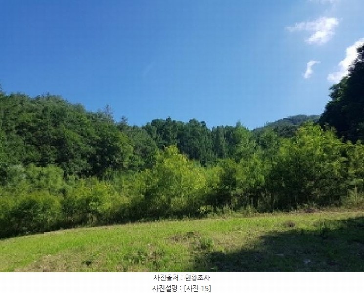 2025타경1180 강원특별자치도 인제군 인제읍 덕적리 310 농지 경매 이미지