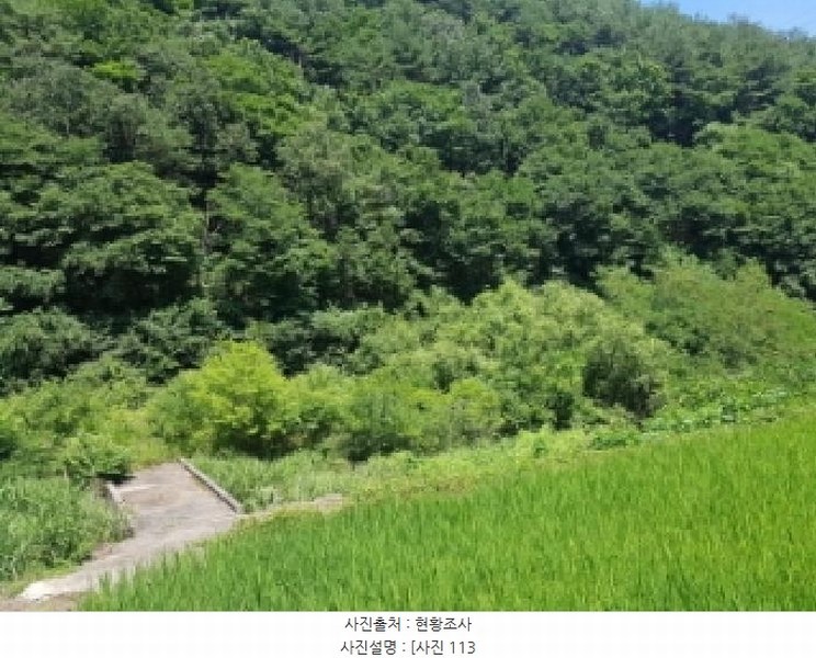 2025타경1388 강원특별자치도 인제군 북면 월학리 1366 농지 경매 이미지