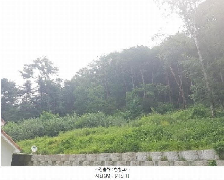 2025타경1425 강원특별자치도 춘천시 퇴계동 산1-21 임야 경매 이미지