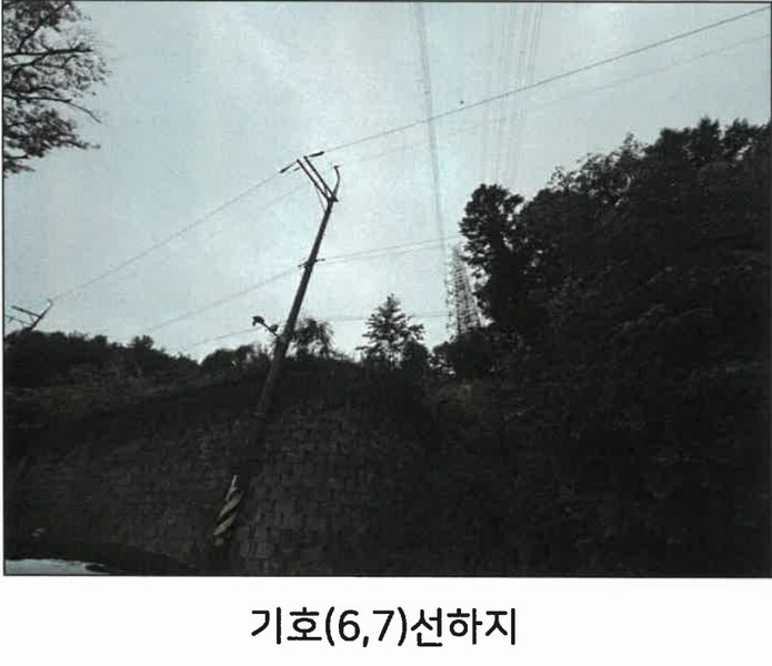 2025타경1425 강원특별자치도 춘천시 퇴계동 산1-21 임야 경매 이미지