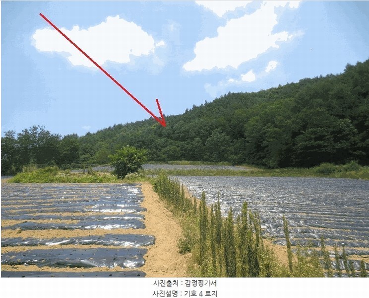 2025타경1463 강원특별자치도 홍천군 내면 광원리 1307 임야 경매 이미지