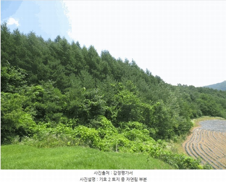 2025타경1463 강원특별자치도 홍천군 내면 광원리 1307 임야 경매 이미지