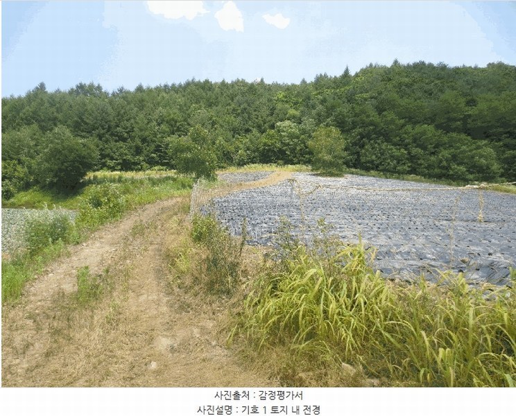 2025타경1463 강원특별자치도 홍천군 내면 광원리 1307 임야 경매 이미지