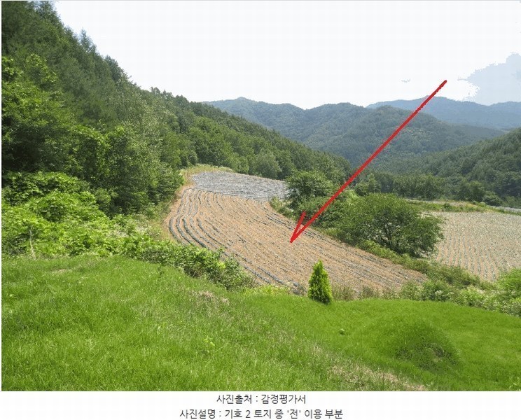 2025타경1463 강원특별자치도 홍천군 내면 광원리 1307 임야 경매 이미지