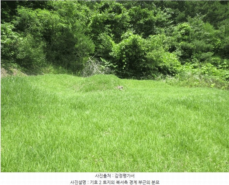2025타경1463 강원특별자치도 홍천군 내면 광원리 1307 임야 경매 이미지