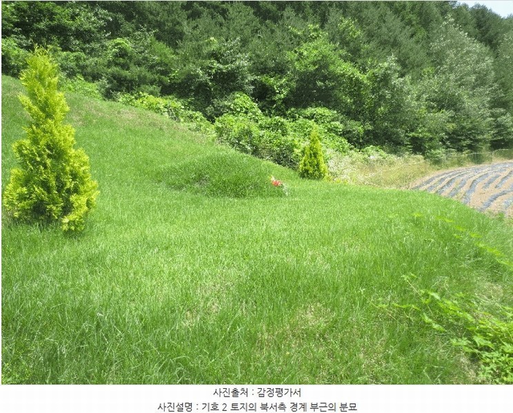 2025타경1463 강원특별자치도 홍천군 내면 광원리 1307 임야 경매 이미지