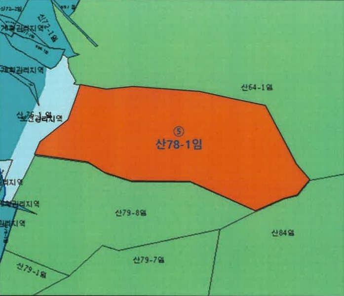 2025타경1548 강원특별자치도 인제군 남면 어론리 산78-1 임야 경매 이미지