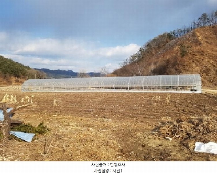 2025타경50489 강원특별자치도 홍천군 영귀미면 성수리 583-1 농지 경매 이미지