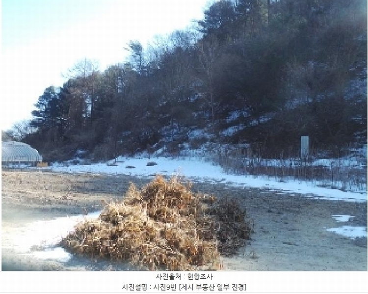 2025타경50502 강원특별자치도 춘천시 서면 덕두원리 산80-5 임야 경매 이미지