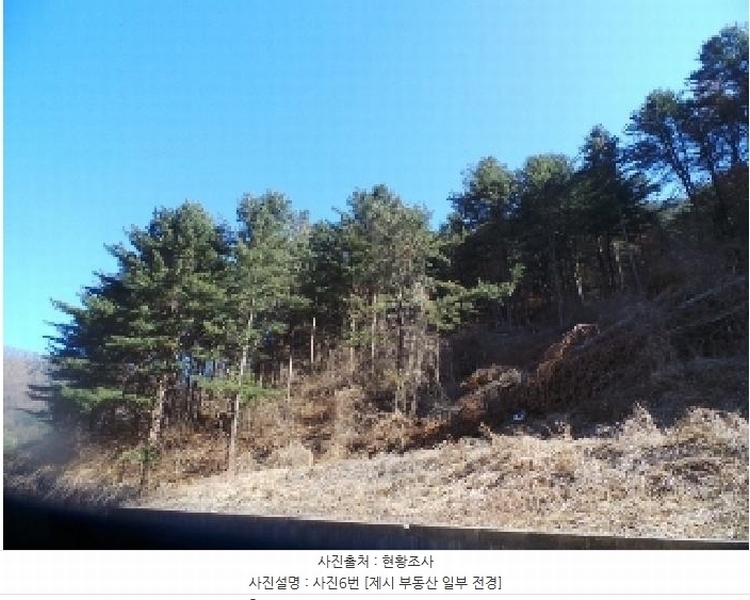 2025타경50502 강원특별자치도 춘천시 서면 덕두원리 산80-5 임야 경매 이미지