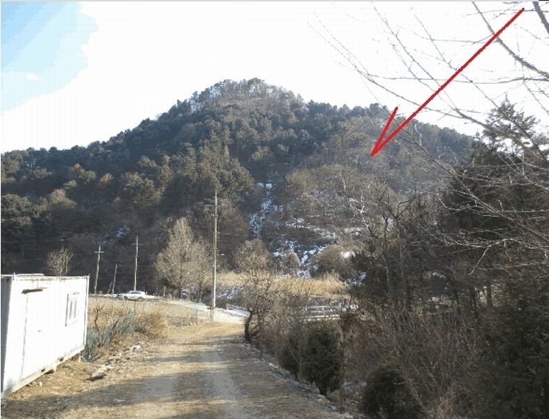2025타경50502 강원특별자치도 춘천시 서면 덕두원리 산80-5 임야 경매 이미지