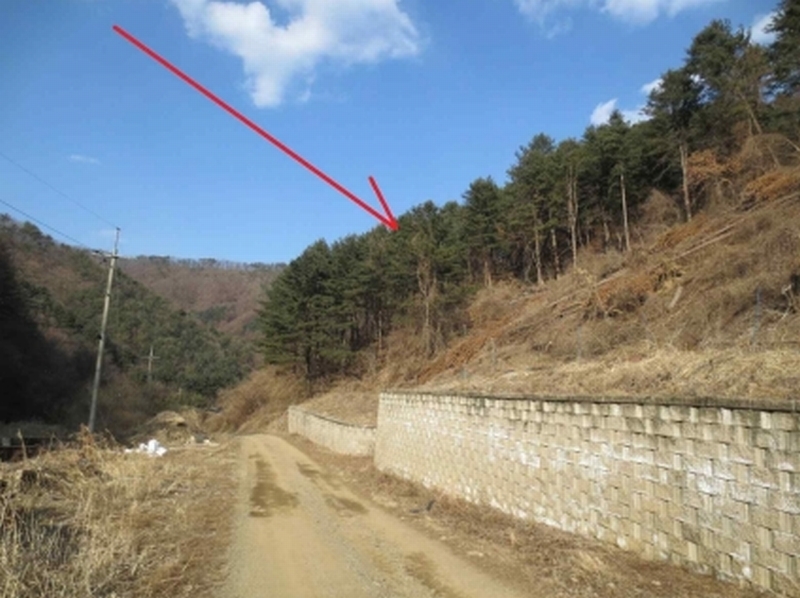 2025타경50502 강원특별자치도 춘천시 서면 덕두원리 산80-5 임야 경매 이미지