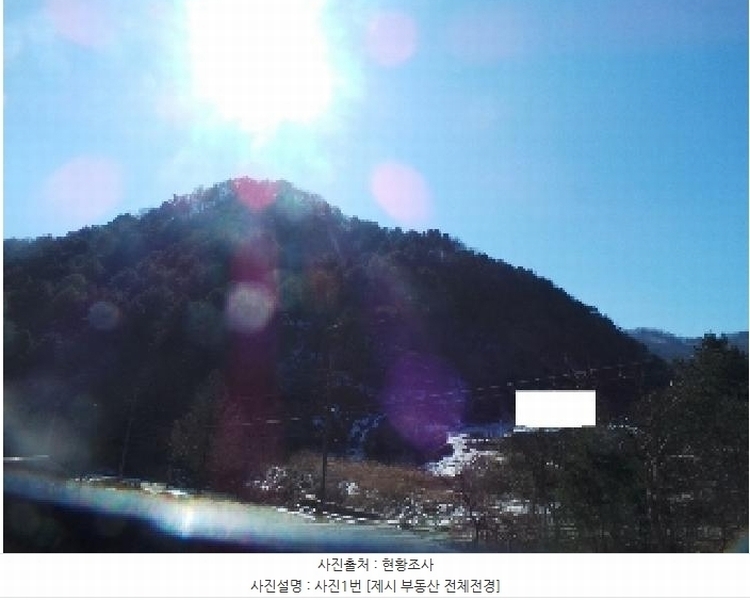 2025타경50502 강원특별자치도 춘천시 서면 덕두원리 산80-5 임야 경매 이미지