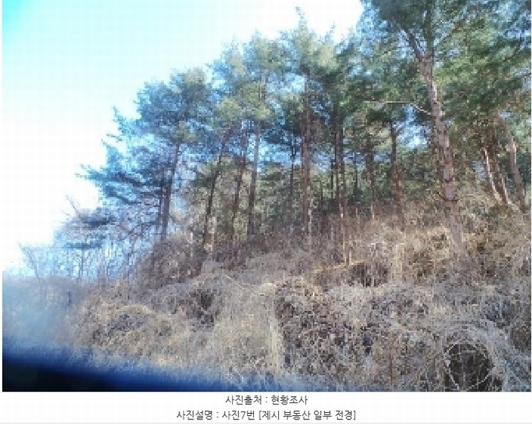 2025타경50502 강원특별자치도 춘천시 서면 덕두원리 산80-5 임야 경매 이미지