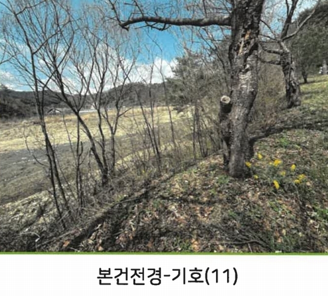 2025타경50515 강원특별자치도 홍천군 화촌면 군업리 189-3 농지 경매 이미지