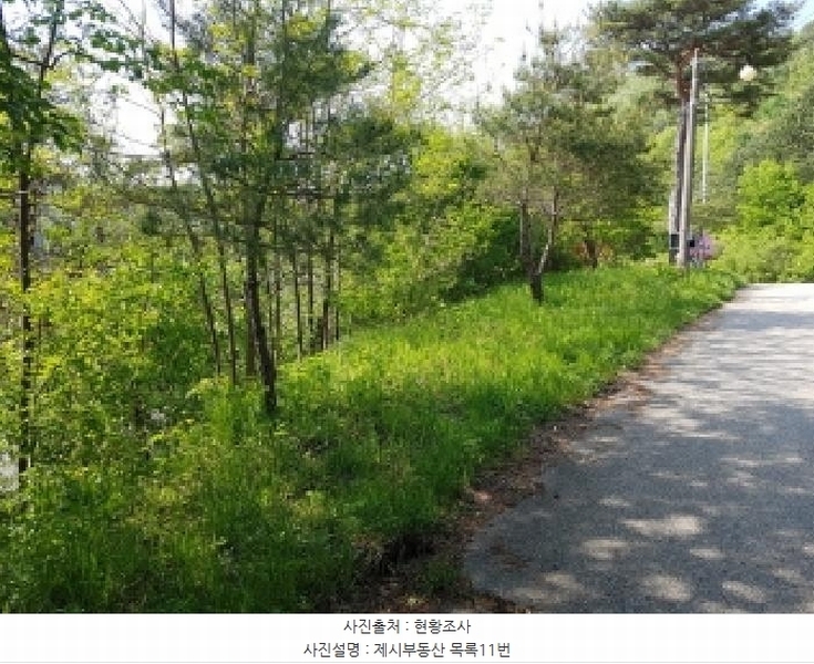 2025타경50515 강원특별자치도 홍천군 화촌면 군업리 189-3 농지 경매 이미지