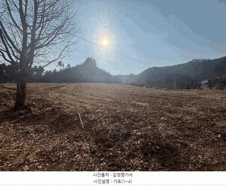 2025타경50530 강원특별자치도 홍천군 두촌면 원동리 136-1 농지 경매 이미지
