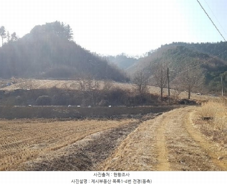 2025타경50530 강원특별자치도 홍천군 두촌면 원동리 136-1 농지 경매 이미지