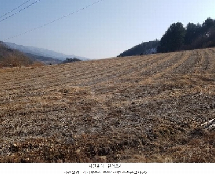 2025타경50530 강원특별자치도 홍천군 두촌면 원동리 136-1 농지 경매 이미지