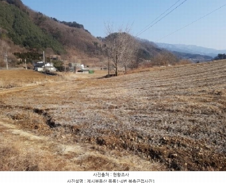 2025타경50530 강원특별자치도 홍천군 두촌면 원동리 136-1 농지 경매 이미지