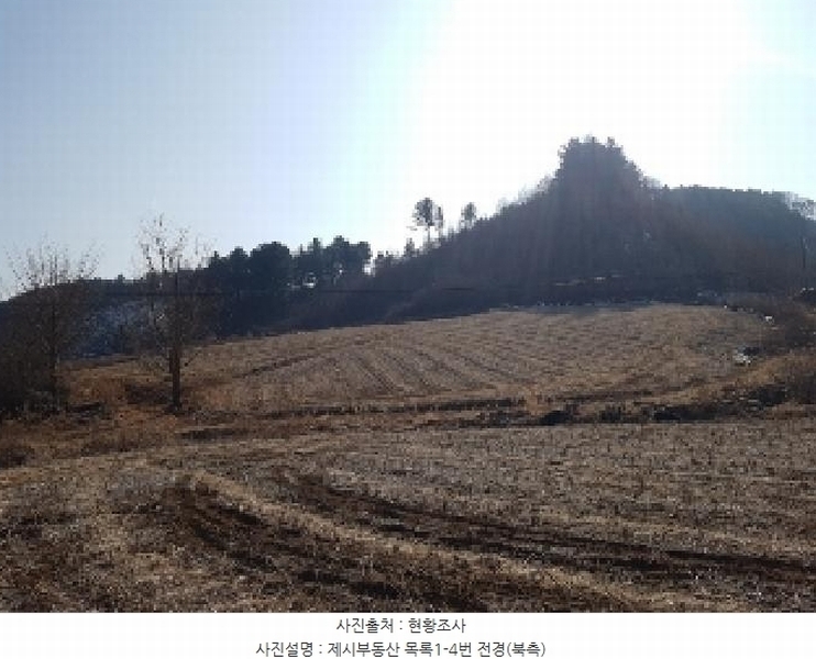 2025타경50530 강원특별자치도 홍천군 두촌면 원동리 136-1 농지 경매 이미지