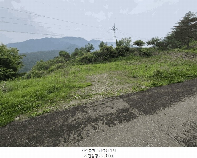 2025타경50570 강원특별자치도 홍천군 내면 율전리 239 농지 경매 이미지