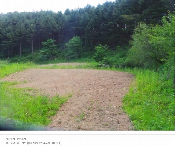 2025타경50645 강원특별자치도 화천군 사내면 광덕리 1133 농지 경매 이미지