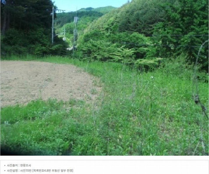 2025타경50645 강원특별자치도 화천군 사내면 광덕리 1133 농지 경매 이미지