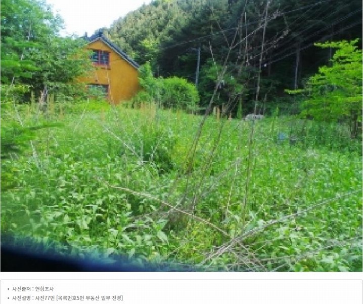 2025타경50645 강원특별자치도 화천군 사내면 광덕리 1133 농지 경매 이미지