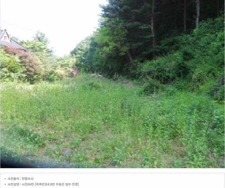 2025타경50645 강원특별자치도 화천군 사내면 광덕리 1133 농지 경매 이미지