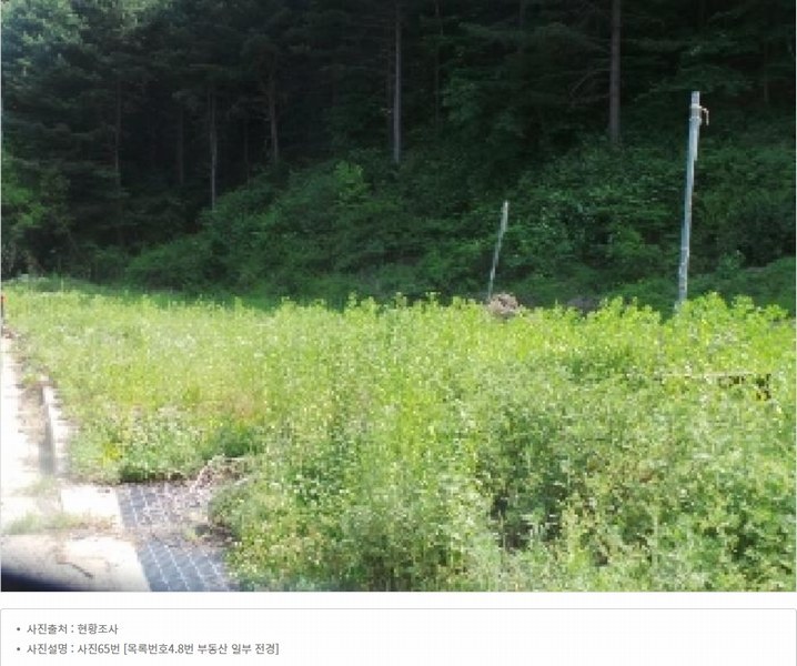 2025타경50645 강원특별자치도 화천군 사내면 광덕리 1133 농지 경매 이미지