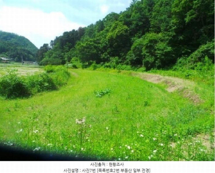 2025타경50697 강원특별자치도 춘천시 서면 안보리 242-1 농지 경매 이미지