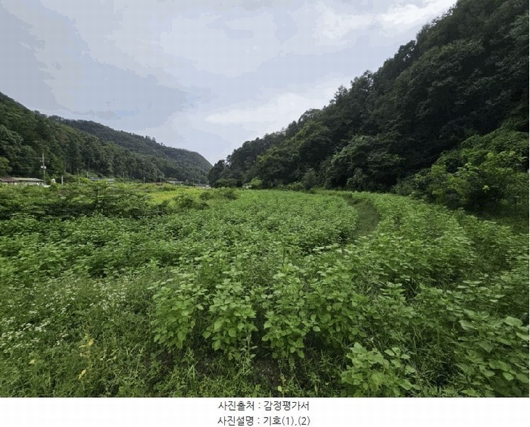 2025타경50697 강원특별자치도 춘천시 서면 안보리 242-1 농지 경매 이미지