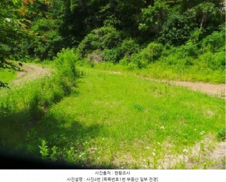 2025타경50697 강원특별자치도 춘천시 서면 안보리 242-1 농지 경매 이미지