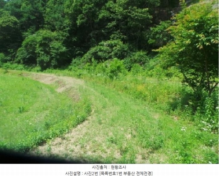 2025타경50697 강원특별자치도 춘천시 서면 안보리 242-1 농지 경매 이미지