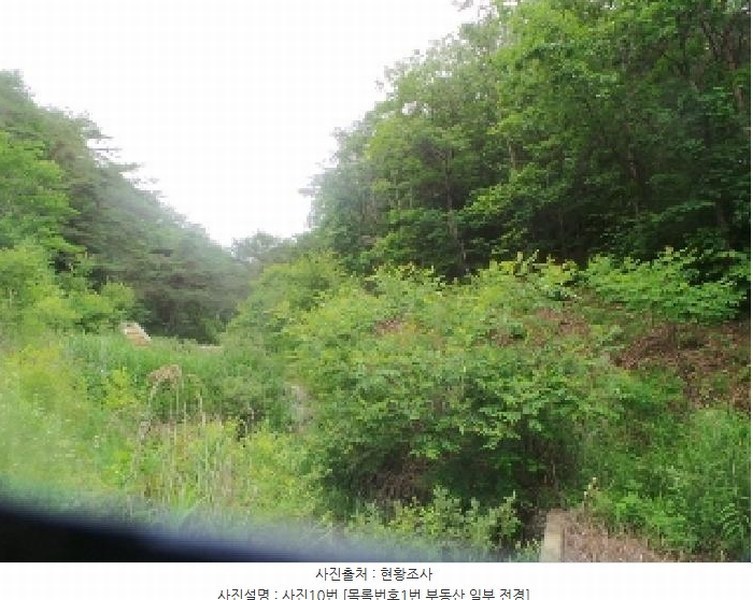 2025타경50711 강원특별자치도 춘천시 사북면 고성리 산90 임야 경매 이미지
