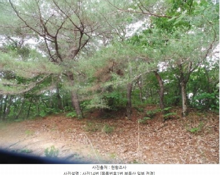 2025타경50711 강원특별자치도 춘천시 사북면 고성리 산90 임야 경매 이미지