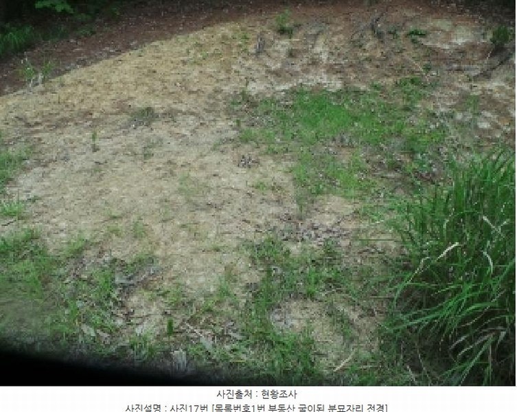 2025타경50711 강원특별자치도 춘천시 사북면 고성리 산90 임야 경매 이미지
