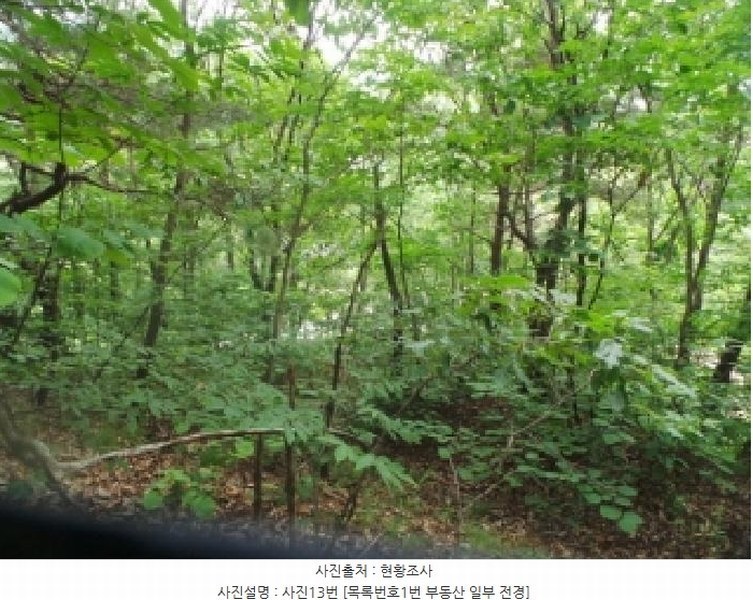 2025타경50711 강원특별자치도 춘천시 사북면 고성리 산90 임야 경매 이미지
