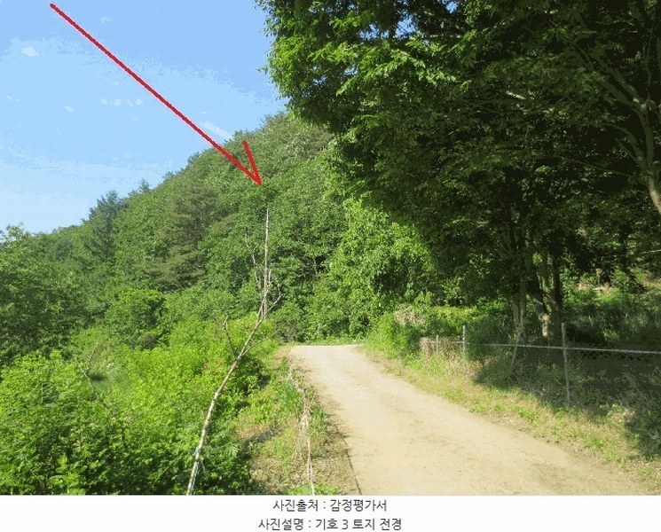 2025타경50711 강원특별자치도 춘천시 사북면 고성리 산90 임야 경매 이미지