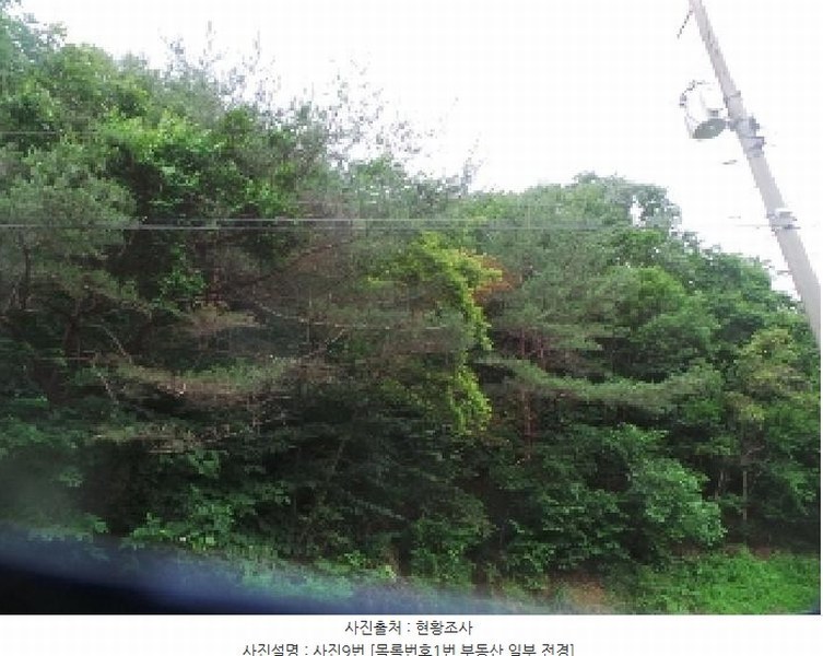 2025타경50711 강원특별자치도 춘천시 사북면 고성리 산90 임야 경매 이미지