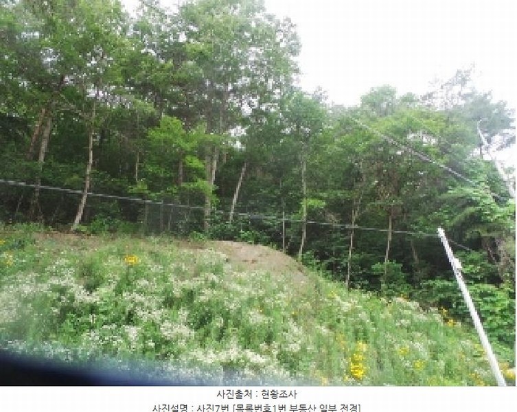 2025타경50711 강원특별자치도 춘천시 사북면 고성리 산90 임야 경매 이미지