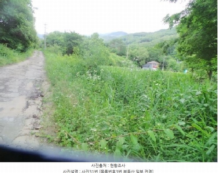 2025타경50711 강원특별자치도 춘천시 사북면 고성리 산90 임야 경매 이미지