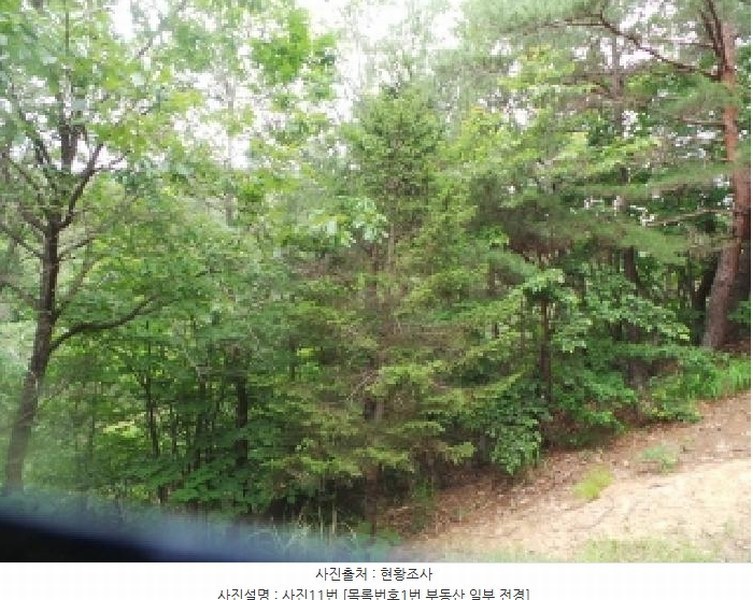 2025타경50711 강원특별자치도 춘천시 사북면 고성리 산90 임야 경매 이미지