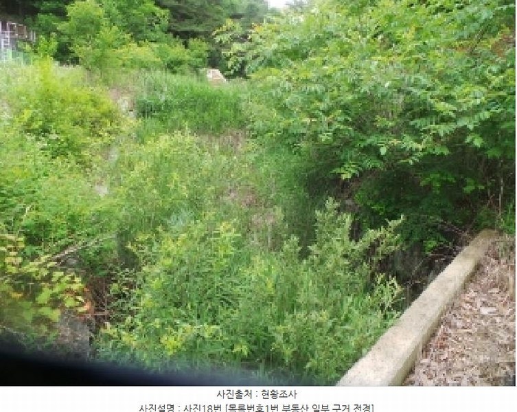 2025타경50711 강원특별자치도 춘천시 사북면 고성리 산90 임야 경매 이미지