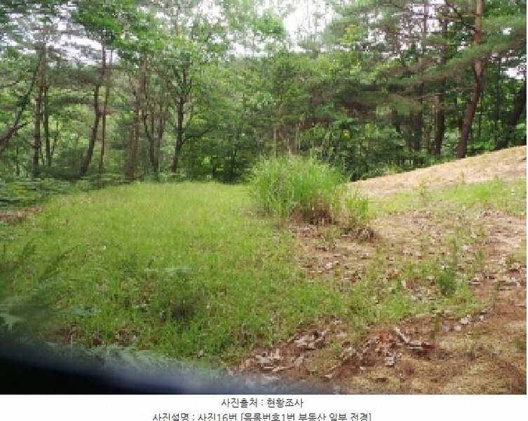 2025타경50711 강원특별자치도 춘천시 사북면 고성리 산90 임야 경매 이미지