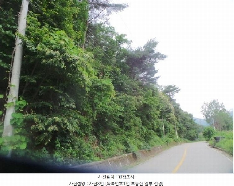 2025타경50711 강원특별자치도 춘천시 사북면 고성리 산90 임야 경매 이미지