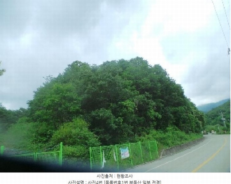 2025타경50711 강원특별자치도 춘천시 사북면 고성리 산90 임야 경매 이미지