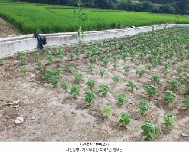 2025타경50717 강원특별자치도 홍천군 영귀미면 후동리 178 농지 경매 이미지