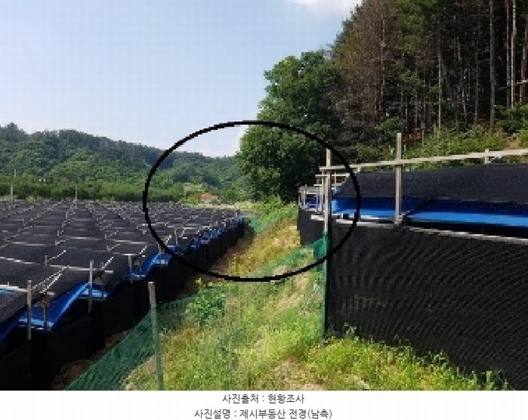 2025타경50733 강원특별자치도 홍천군 북방면 구만리 495-7 농지 경매 이미지